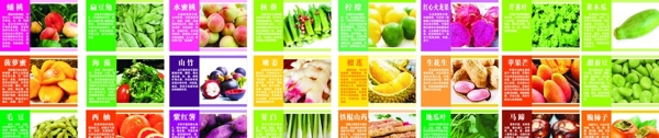 蔬果营养介绍