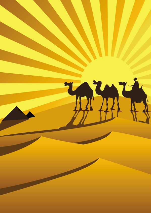在金色的沙漠骆驼