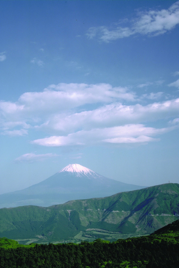 田园风光