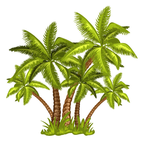 棕榈树插画矢量图素材