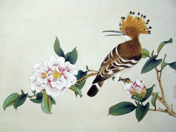 水墨花卉鸟类绘画图片