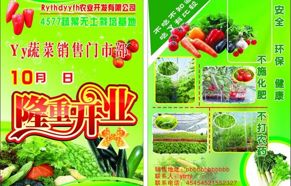 蔬菜宣传页图片