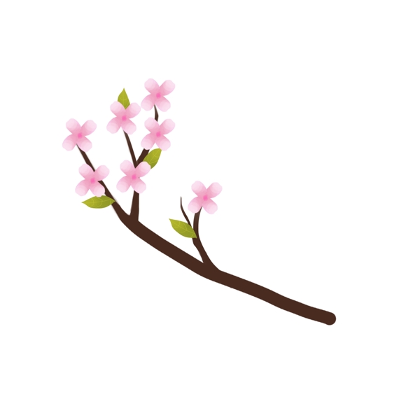 春季樱花png素材