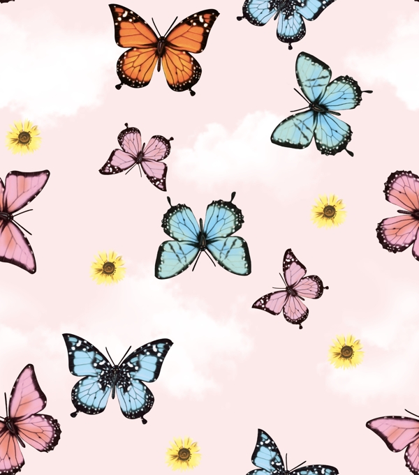 蝴蝶花朵