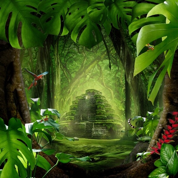 绿色神秘梦幻森林
