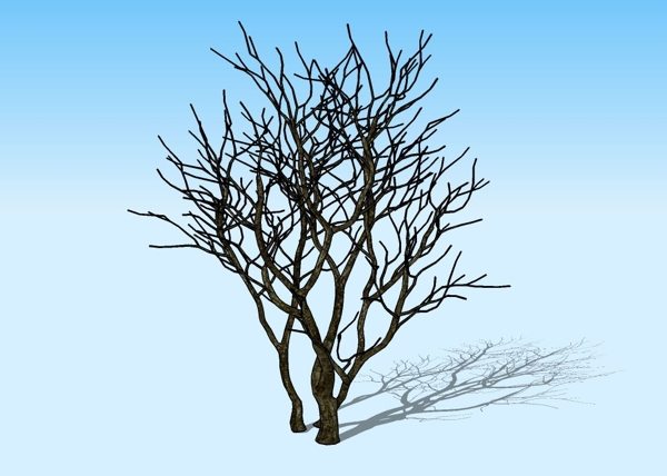 枯树3D模型图片