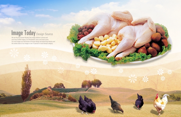 鸡肉小鸡食物素材图片