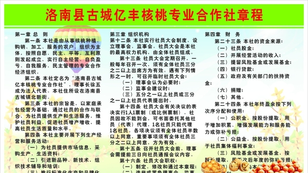 洛南县亿丰核桃专业合作社章程图片