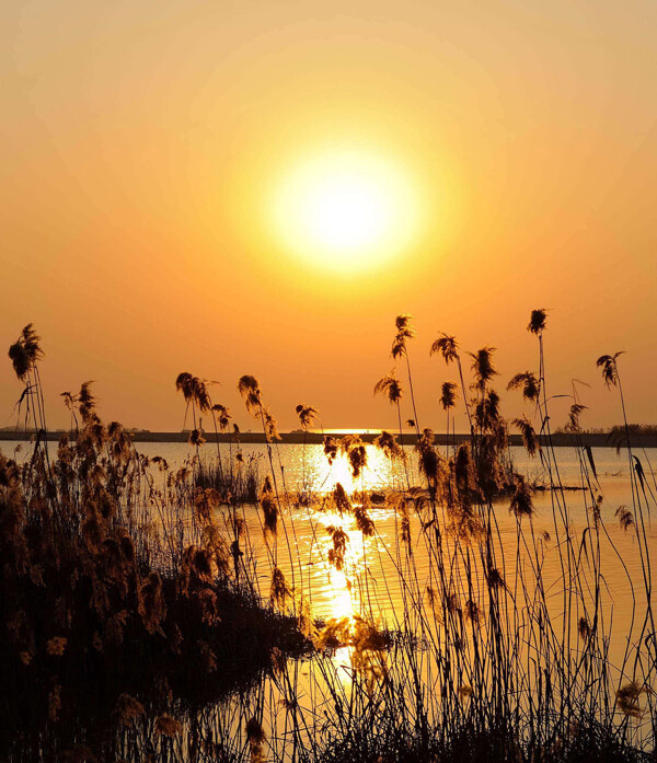 太湖落霞图片