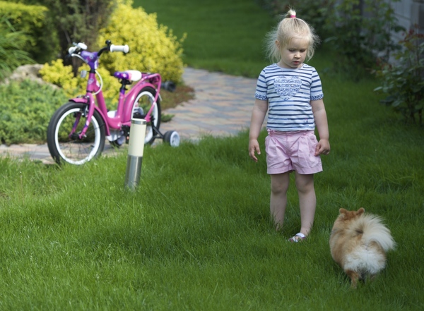 草地上的女孩与小狗