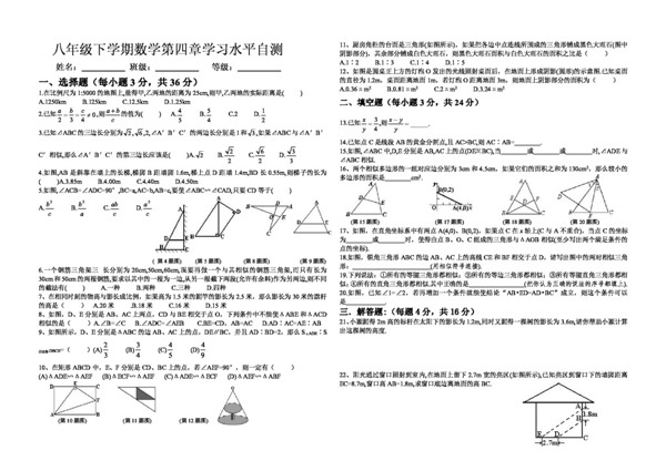 数学八年级下相似图形