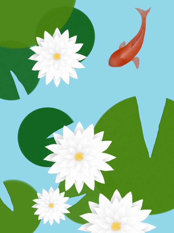 白莲花花卉植物手绘背景