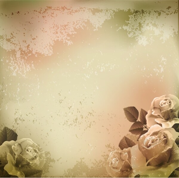 欧式花卉背景图片