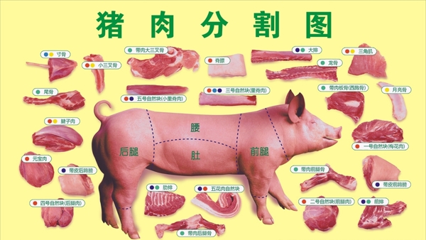 猪肉分割图