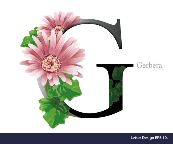 花卉英文字母字体设计