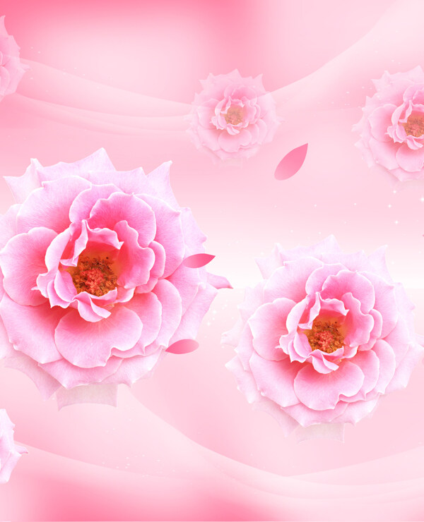 漂亮粉色玫瑰花花朵移门图