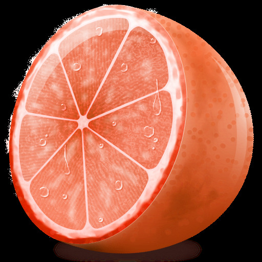 柑橘类水果图标无载体