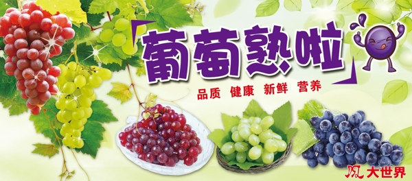 葡萄水果超市健康卫生