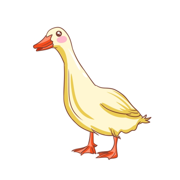 黄色的小鸭子插画