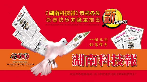 湖南科技报明信片鸽子版图片