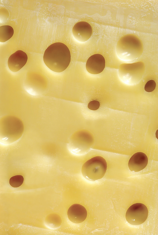 奶酪55图片
