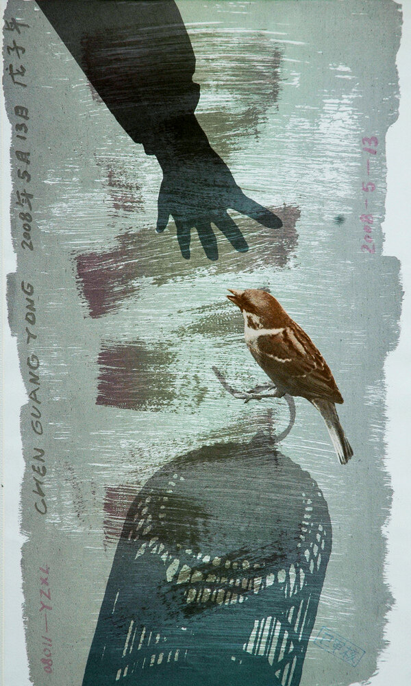 影子系列鸟图片