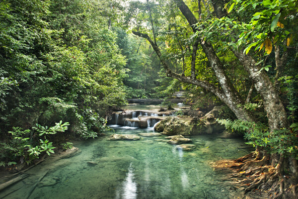 美丽小溪风景