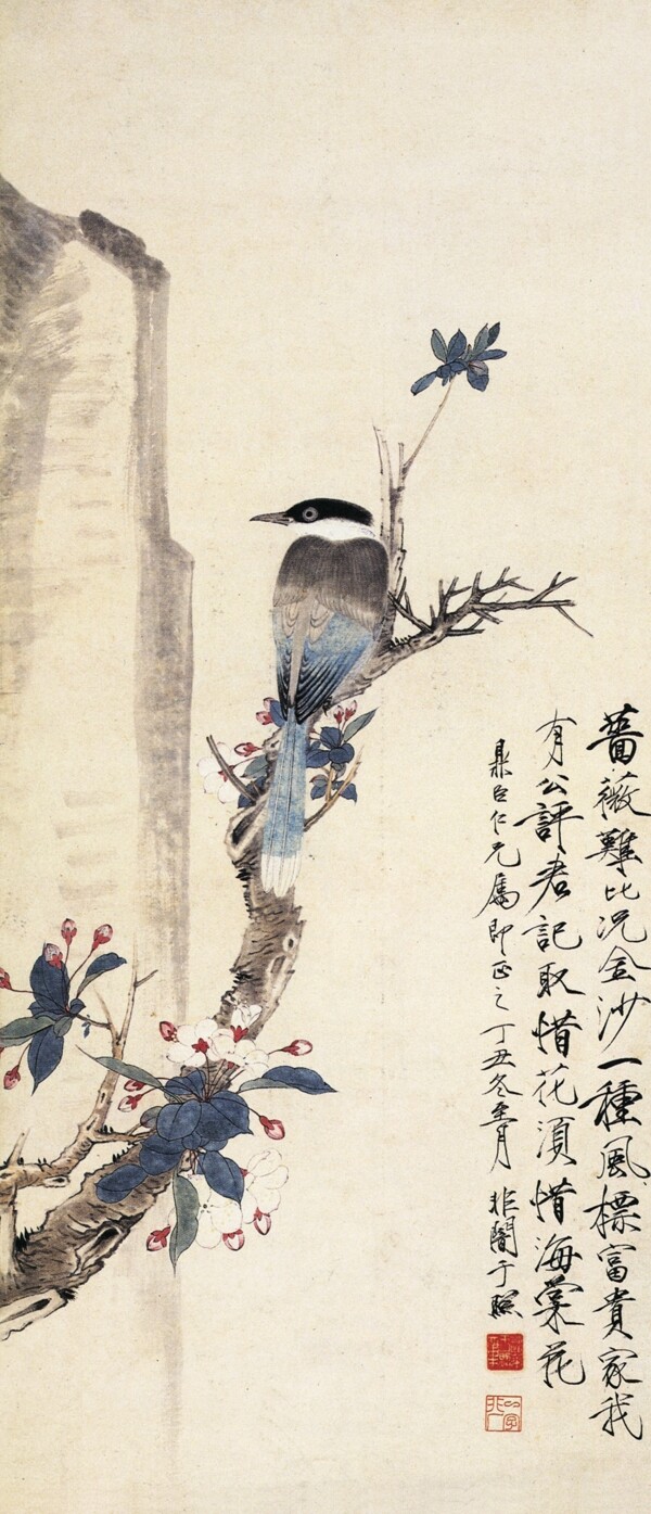 海棠翠鸟图片