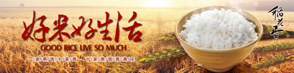 稻花香海报banner