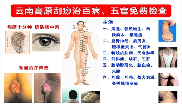 眼睛痔疮皮肤人体图耳朵图片