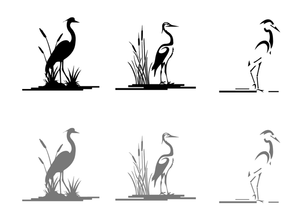 湿地水鸟图片