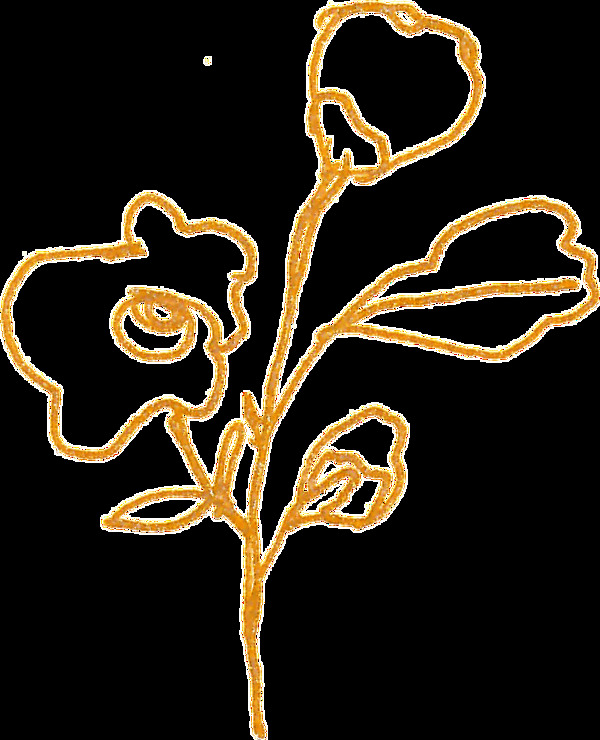 金色装饰植物花卉卡通水彩透明素材