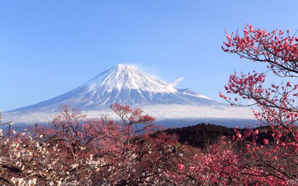 富士山