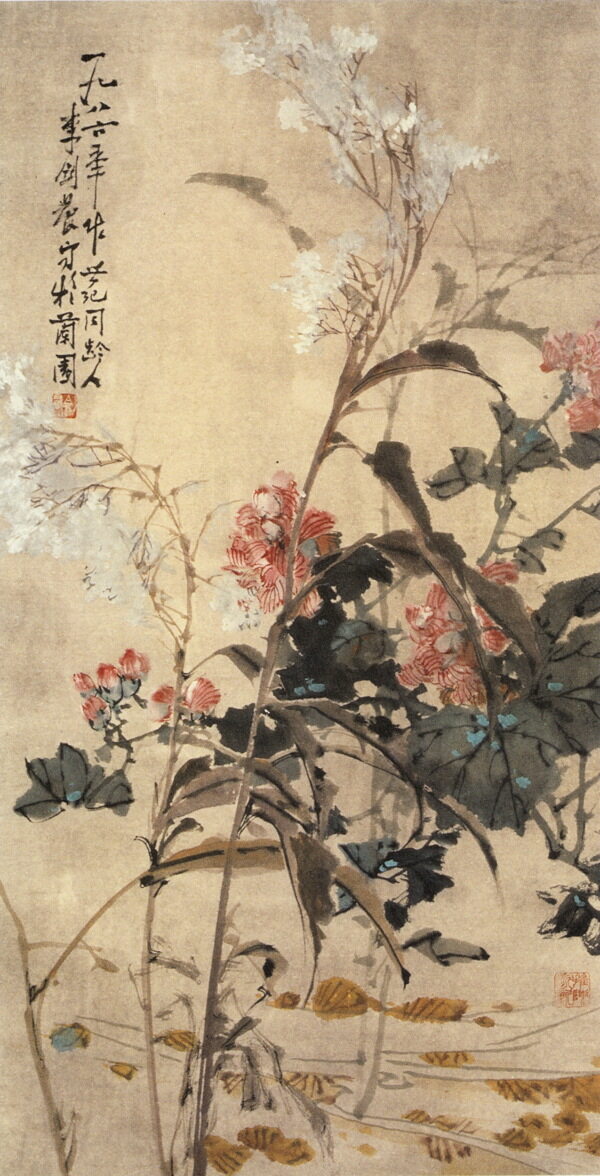 芦花芙蓉图片