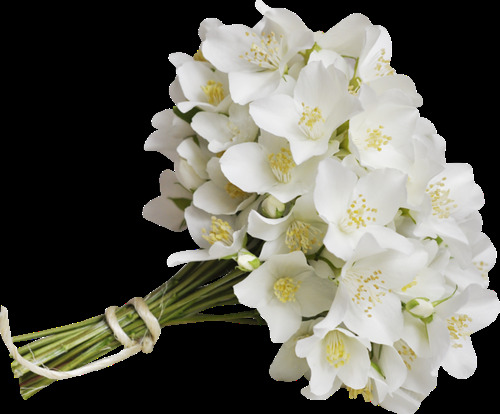 雅致白色花朵花束实物元素