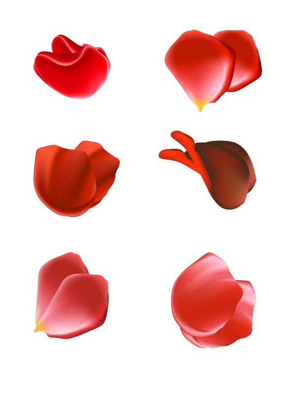 花瓣红色玫瑰花装饰元素设计