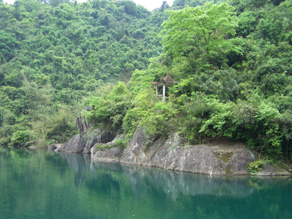 树植物水风景山