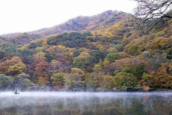 植物花卉炫光光影效果无框画装饰画