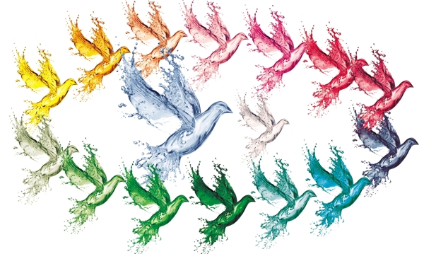 多色水鸟分层图片