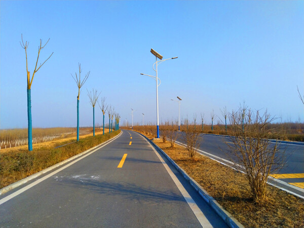 美丽的乡村道路风景