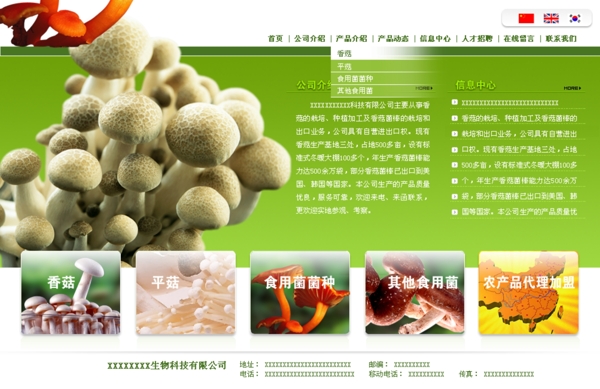 菇菌生物科技公司网页模板