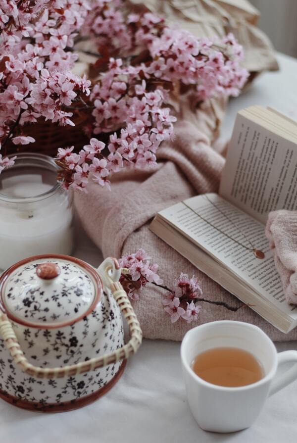 茶壶樱花