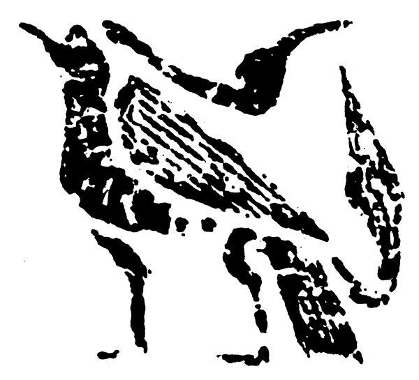 动物图案中国传统图案秦汉时期图案079