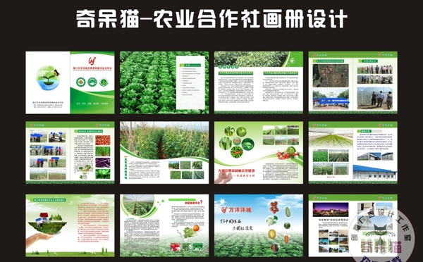 瓜果菜种植画册图片