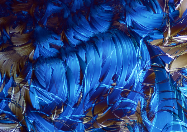 蓝色羽毛细胞结晶