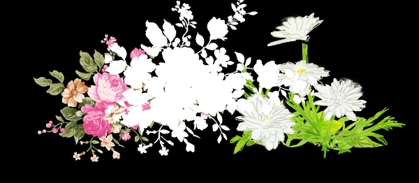 手绘花朵白色图片