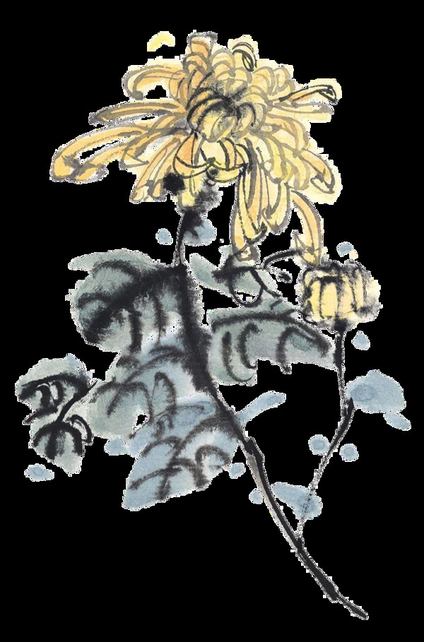 魅力淡黄色手绘菊花装饰元素