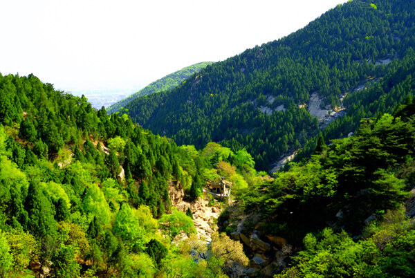 山里山外图片