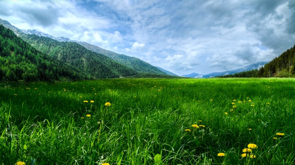 青山白云草地