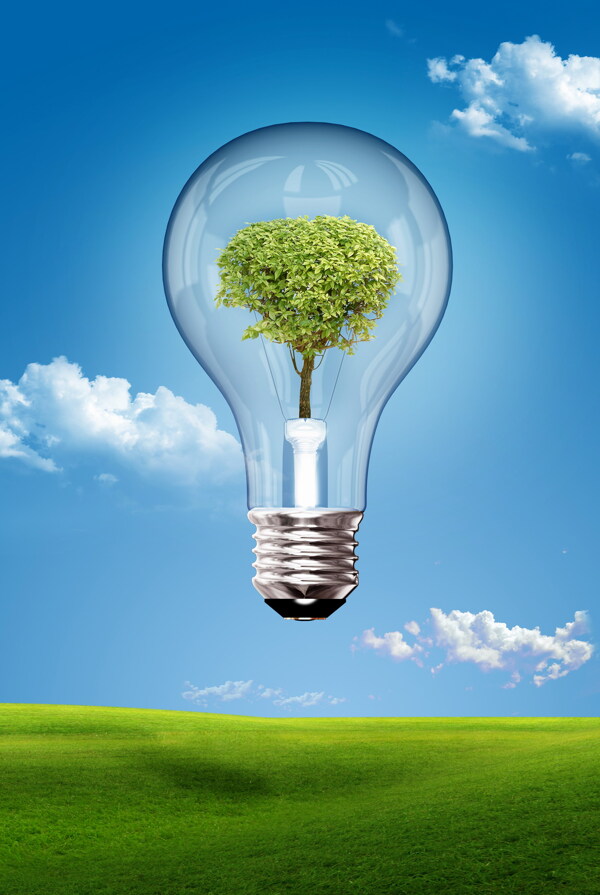 创意电灯泡绿树图片